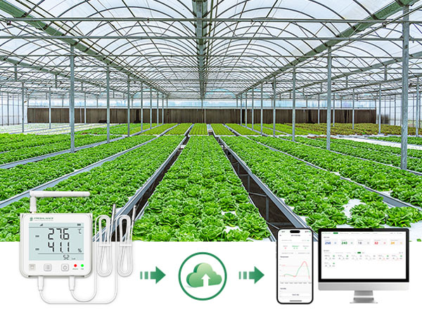 GSP100-WiFi/4G Real-time Data Logger for Illumination, Ethylene, CO2, Ammonia, Temp & Humidity, etc. GSP100-WiFi/4G Real-time Data Logger for Illumination, Ethylene, CO2, Ammonia, Temp & Humidity, etc.