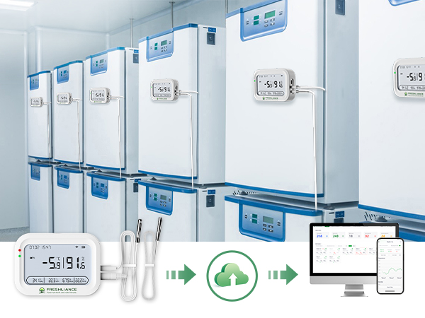 Stop Cold Storage Losses with 