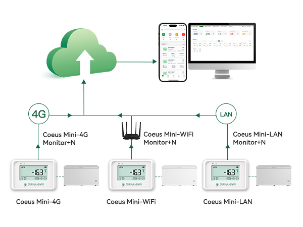 Coeus Mini Real-Time Temperature Humidity Data Logger