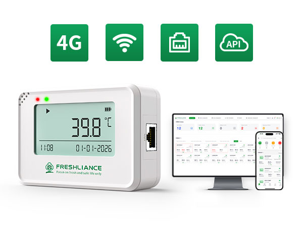 Coeus Mini Real-Time Temperature Humidity Data Logger