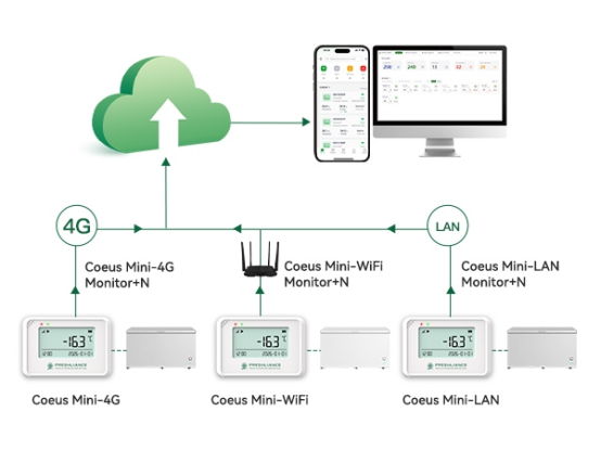 Coeus Mini has Wi-Fi  4G  LAN connectivity options